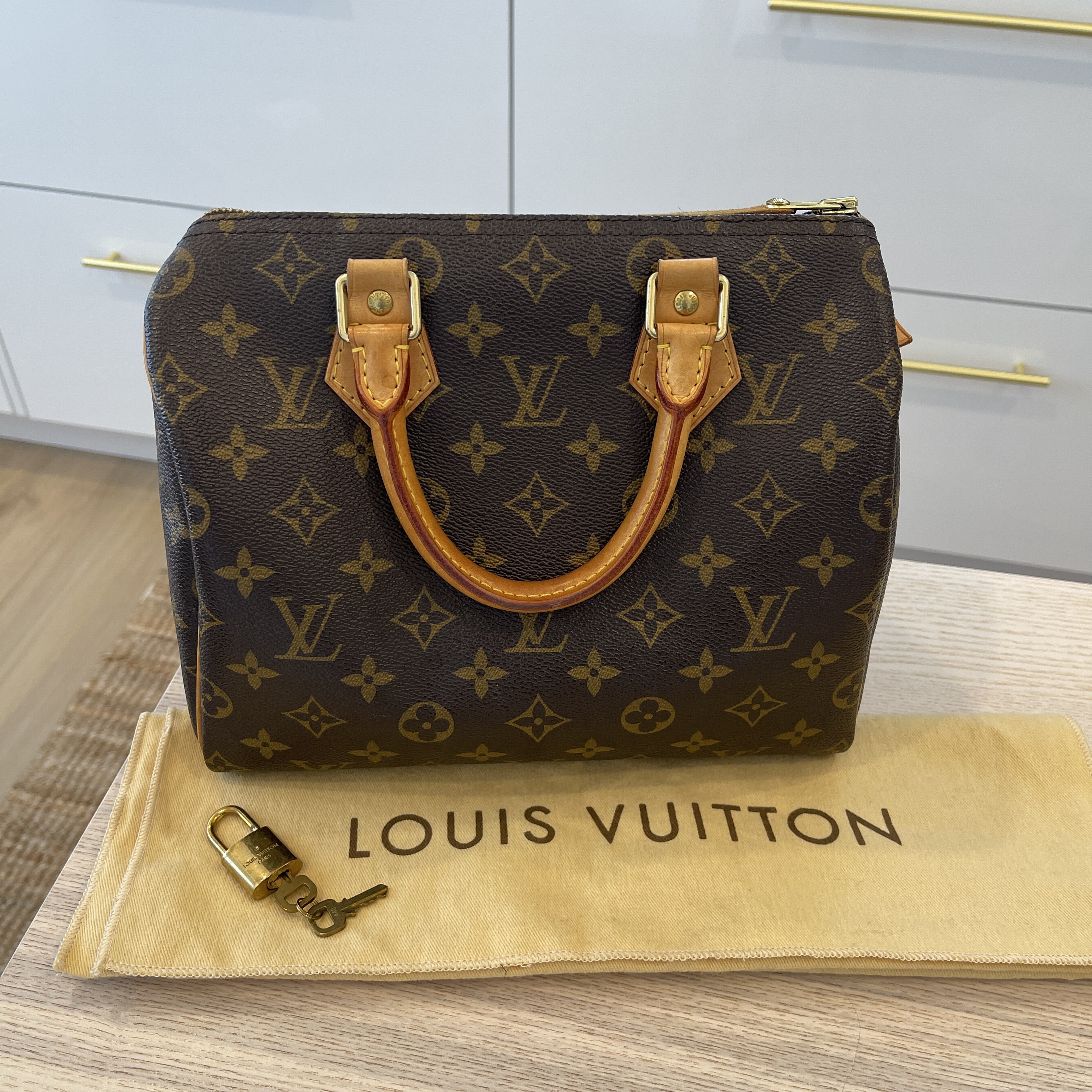 Vintage Louis Vuitton mono speedy 25 - Review and contents 