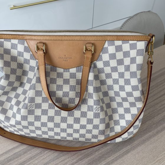 What fits inside the Louis Vuitton Siracusa gm 