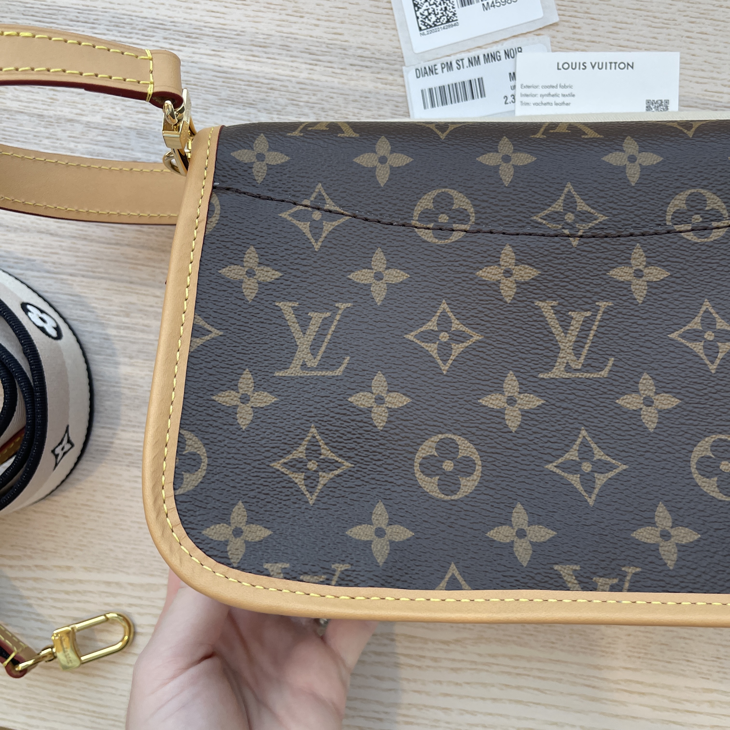Louis Vuitton Diane Monogram Bag M45985 (Bag Is Brand New! Not  Authenticated No Refunds)