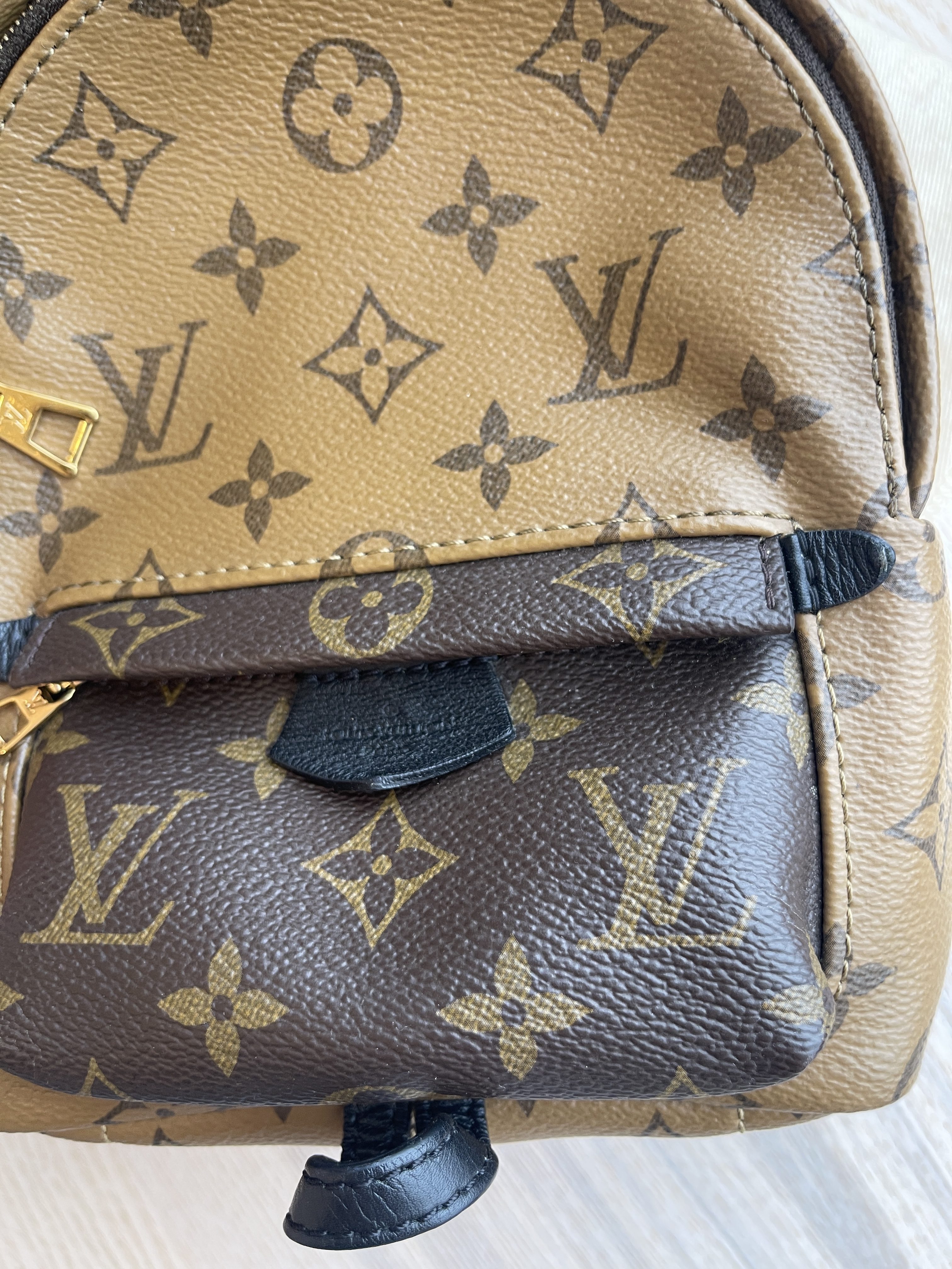 Louis Vuitton Palm Springs Mini, Reverse Monogram 4249 – Now You Glow