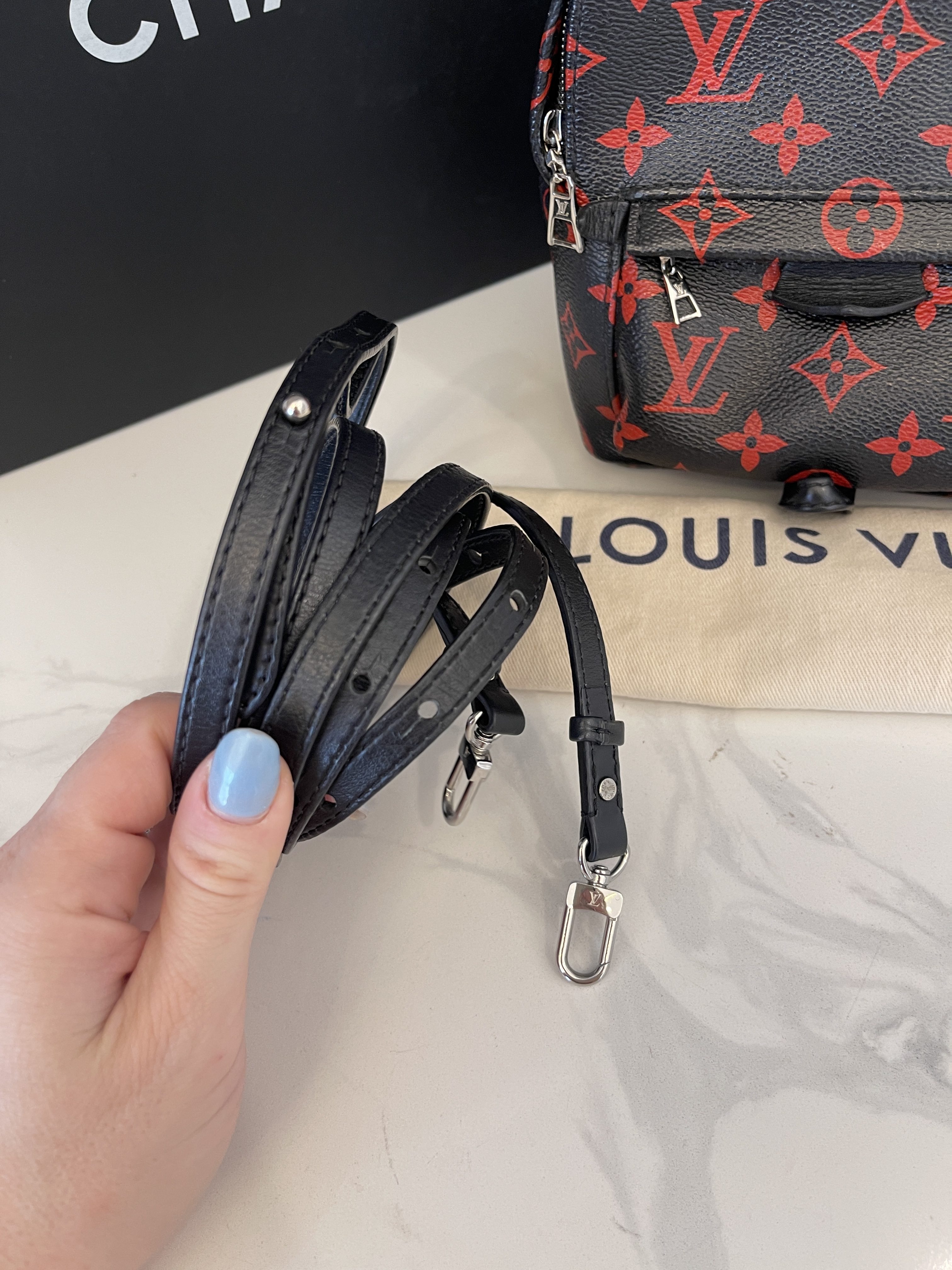 Louis Vuitton Canvas 2022 Monogram Mini Palm Springs Backpack/ Crossbody Bag