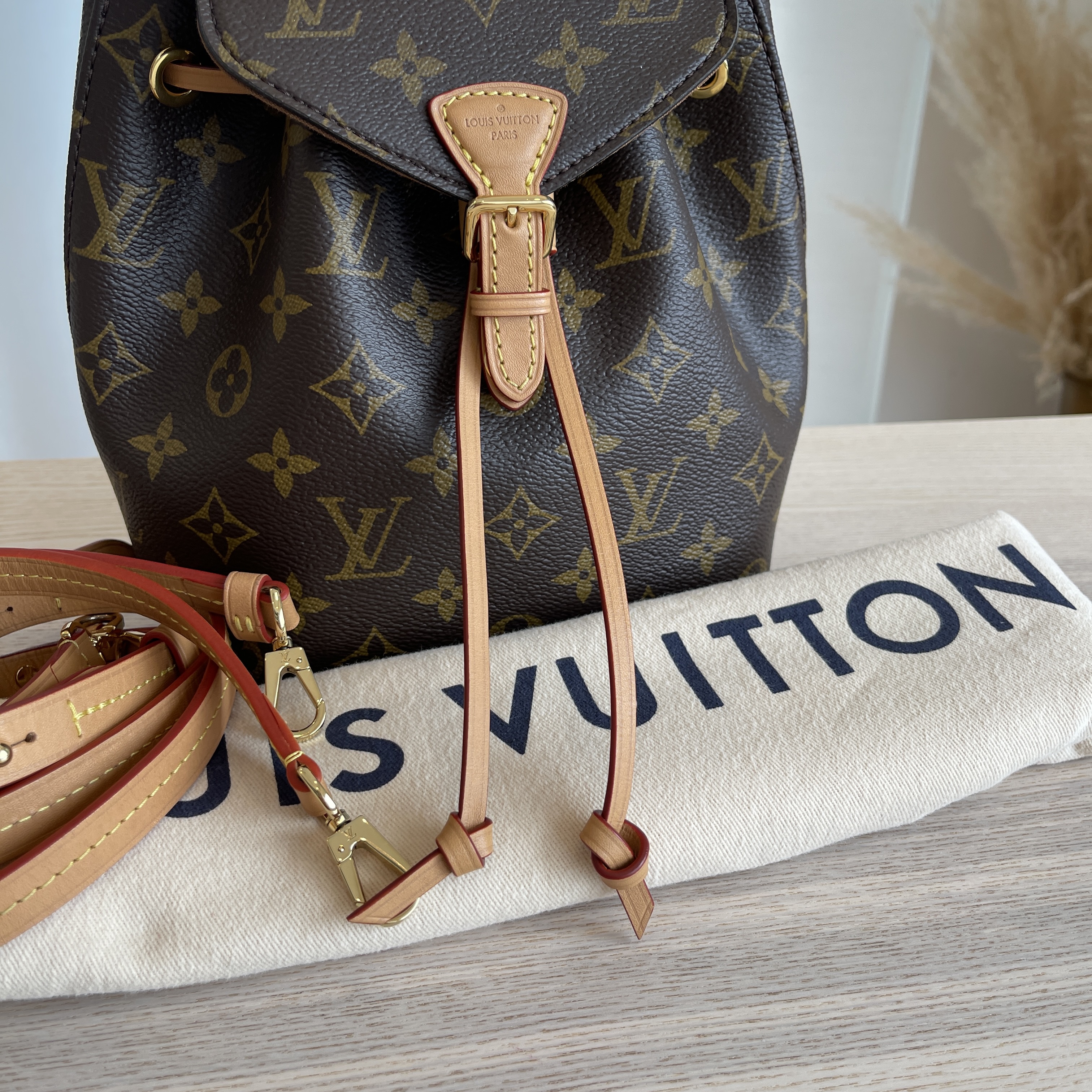 The Louis Vuitton 2022 Monogram Montsouris BB Backpack w/ Box