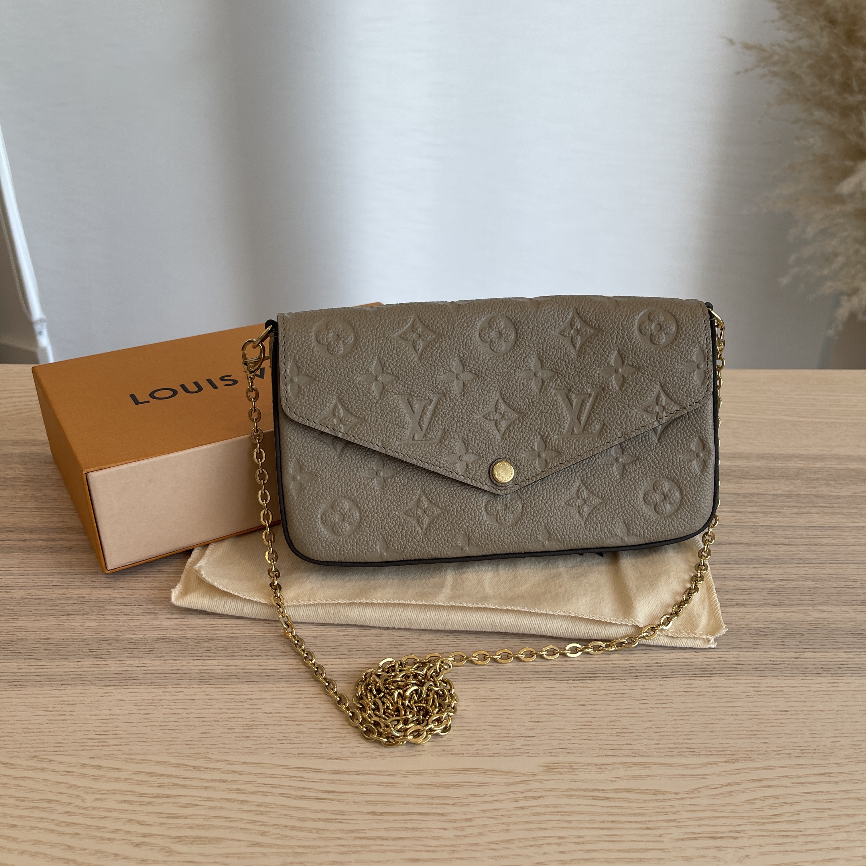 Louis Vuitton Felicie Pochette Chain Wallet