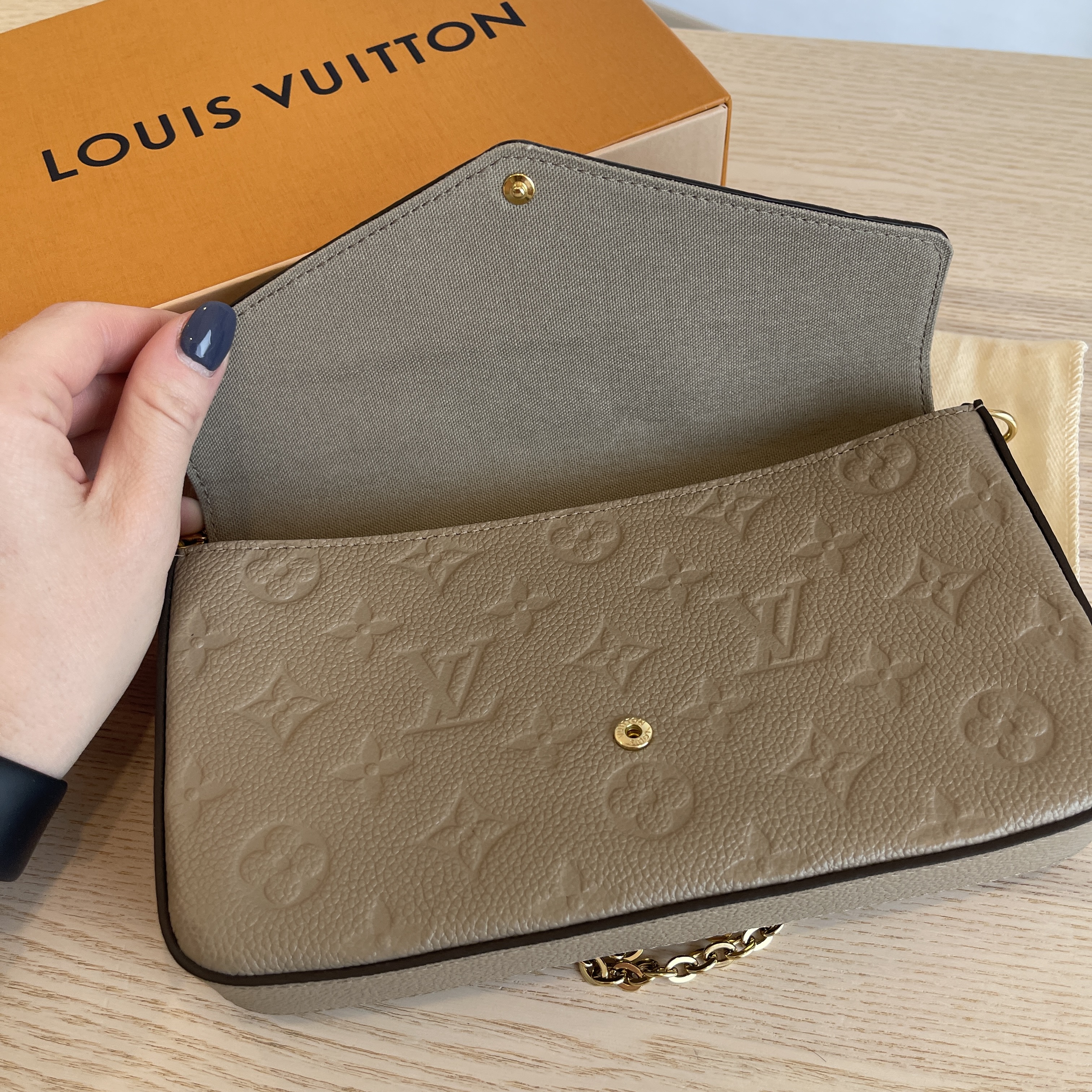 Louis Vuitton Felicie, Turtledove with Inserts, New in Dustbag