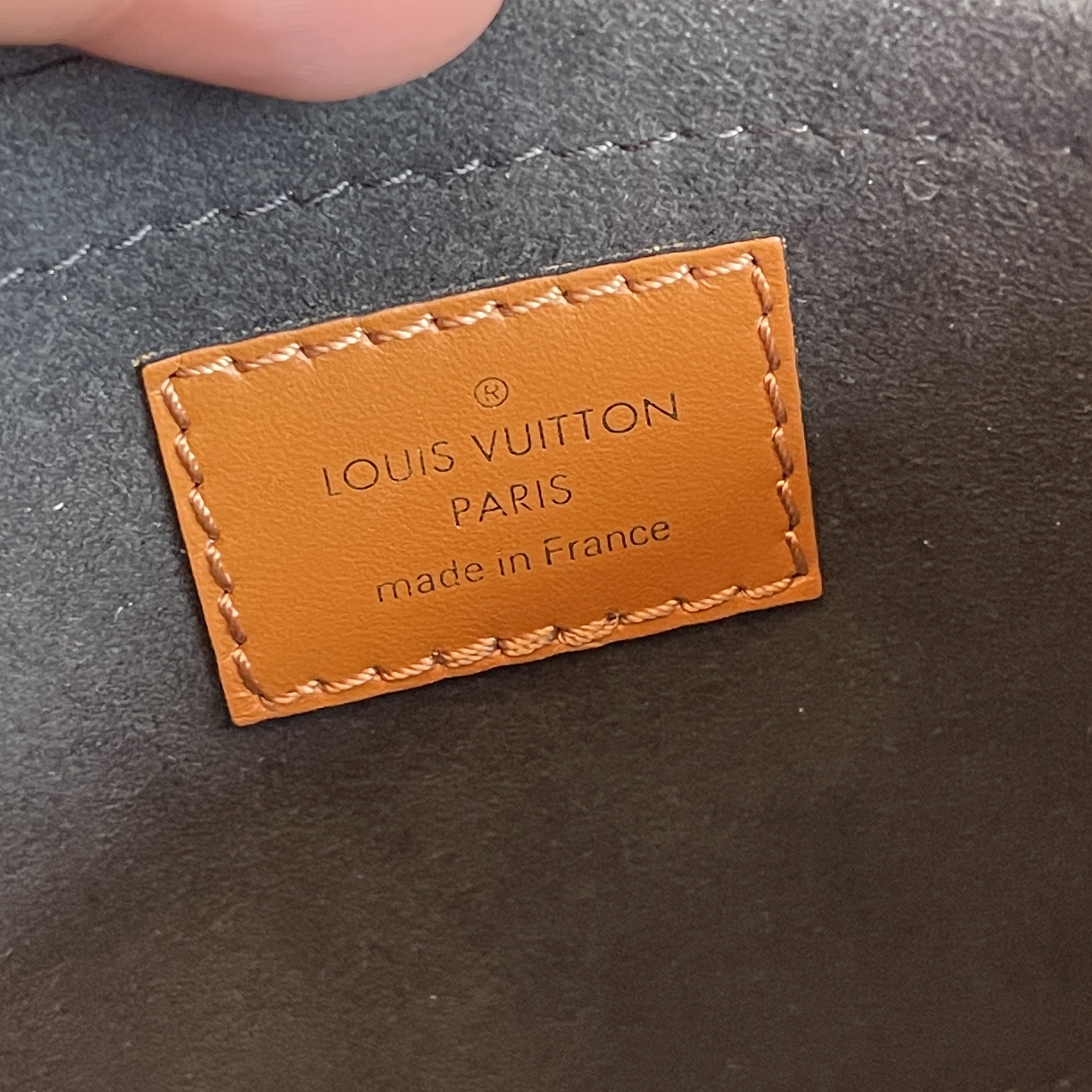 Louis Vuitton Pochette Metis Wild at Heart Monogram Giant