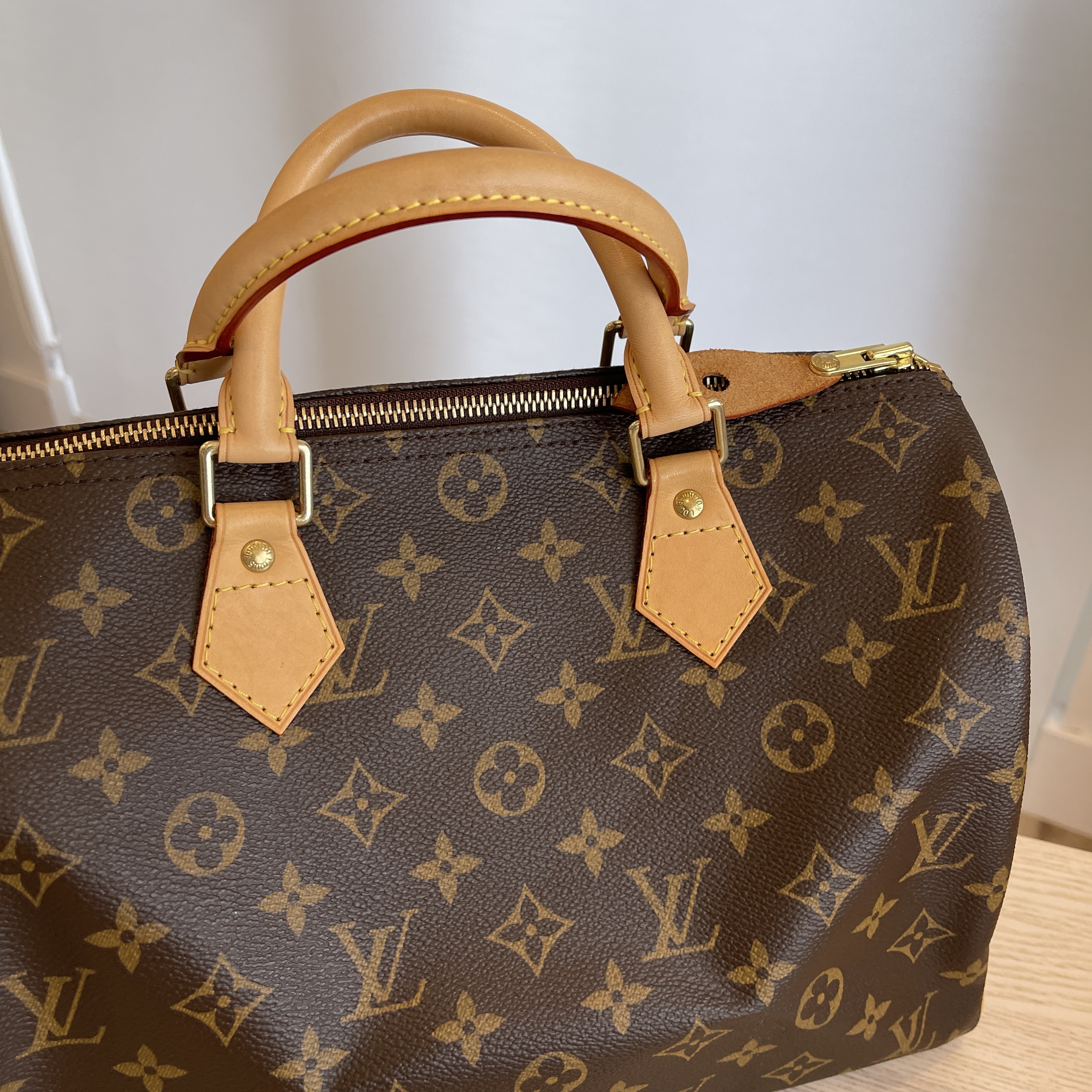 Louis Vuitton Speedy Handbag 352247