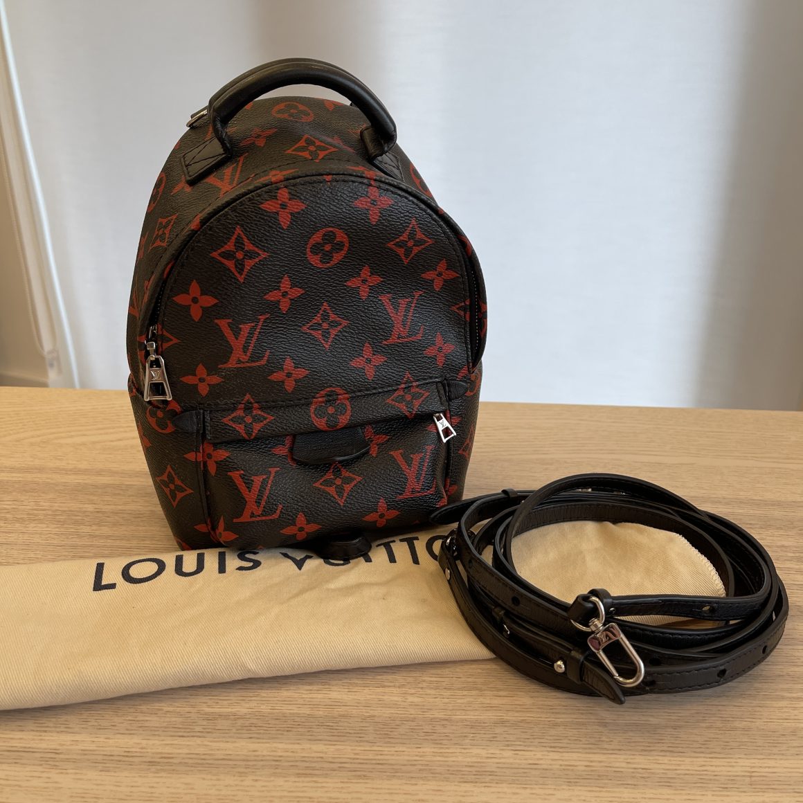 Louis Vuitton Monogram Palm Springs Mini Backpack Louis Vuitton