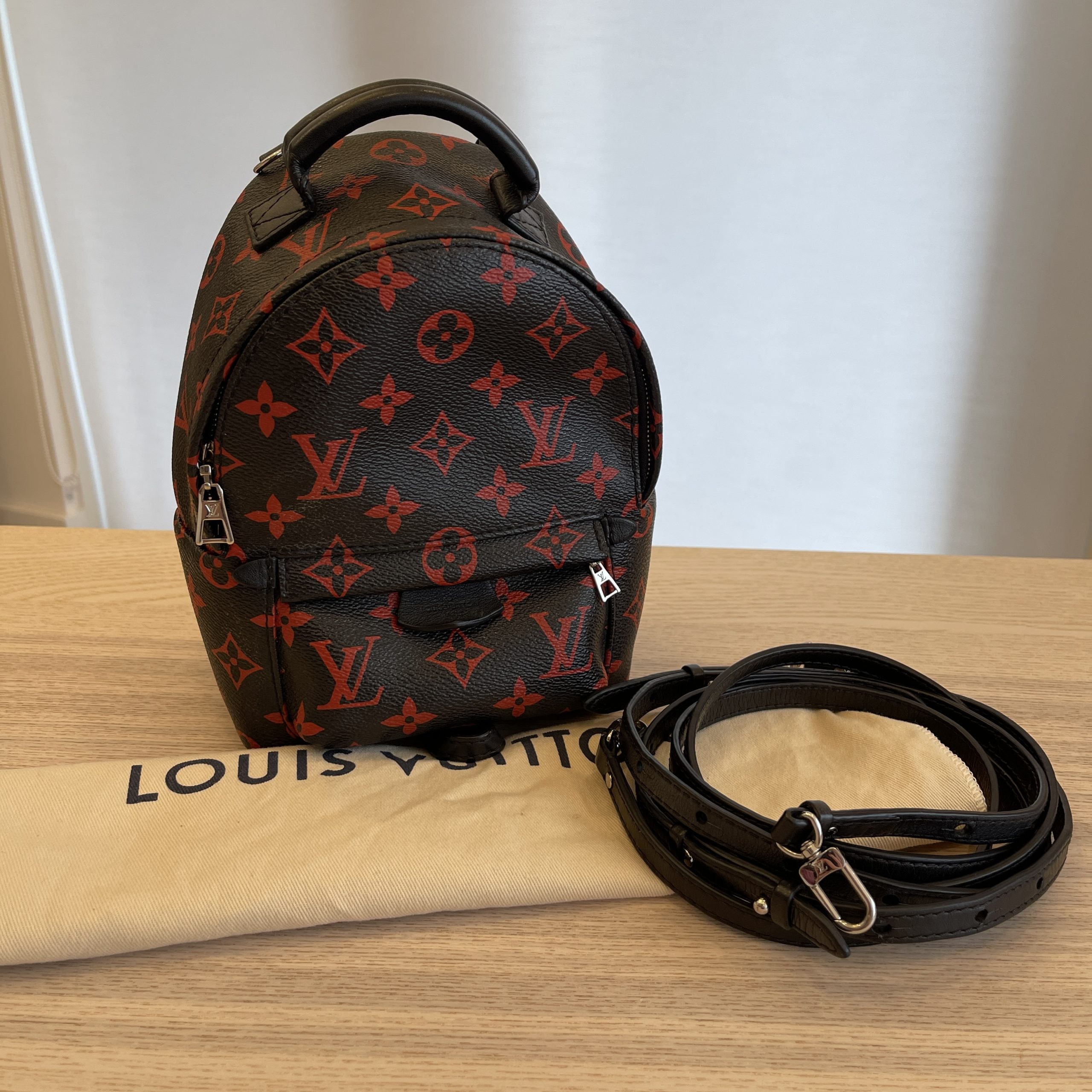 Louis Vuitton Monogram Infrarouge Palm Springs Backpack Mini