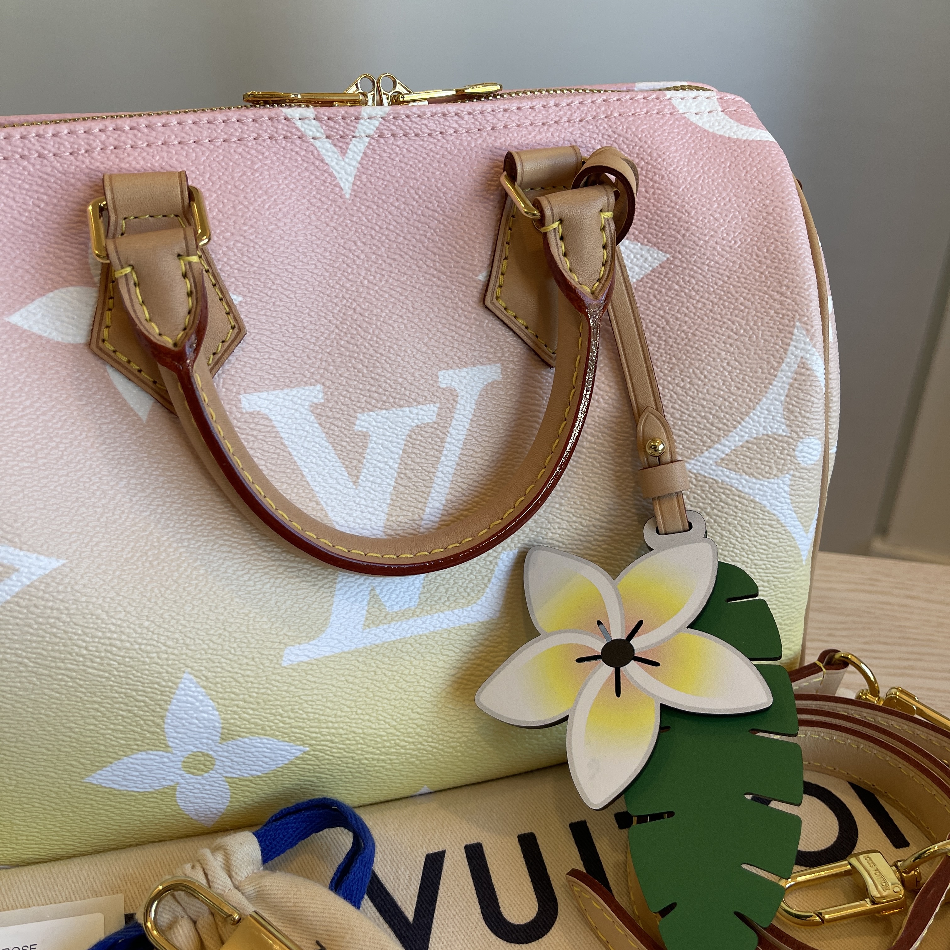 Louis Vuitton Giant Monogram Canvas By The Pool Speedy Bandouliere