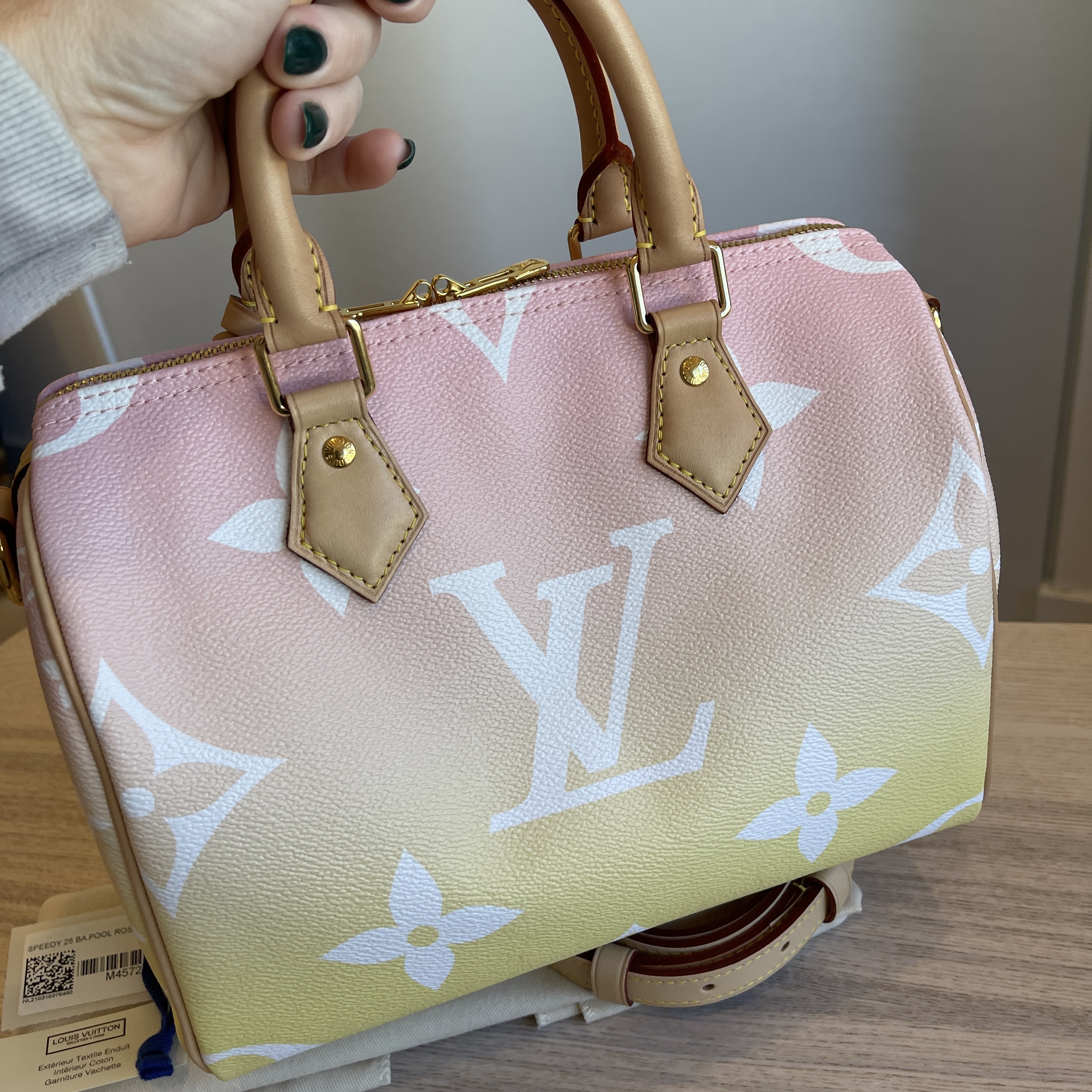 Louis Vuitton LV By the Pool Speedy Monogram Pillow Bag Handbag