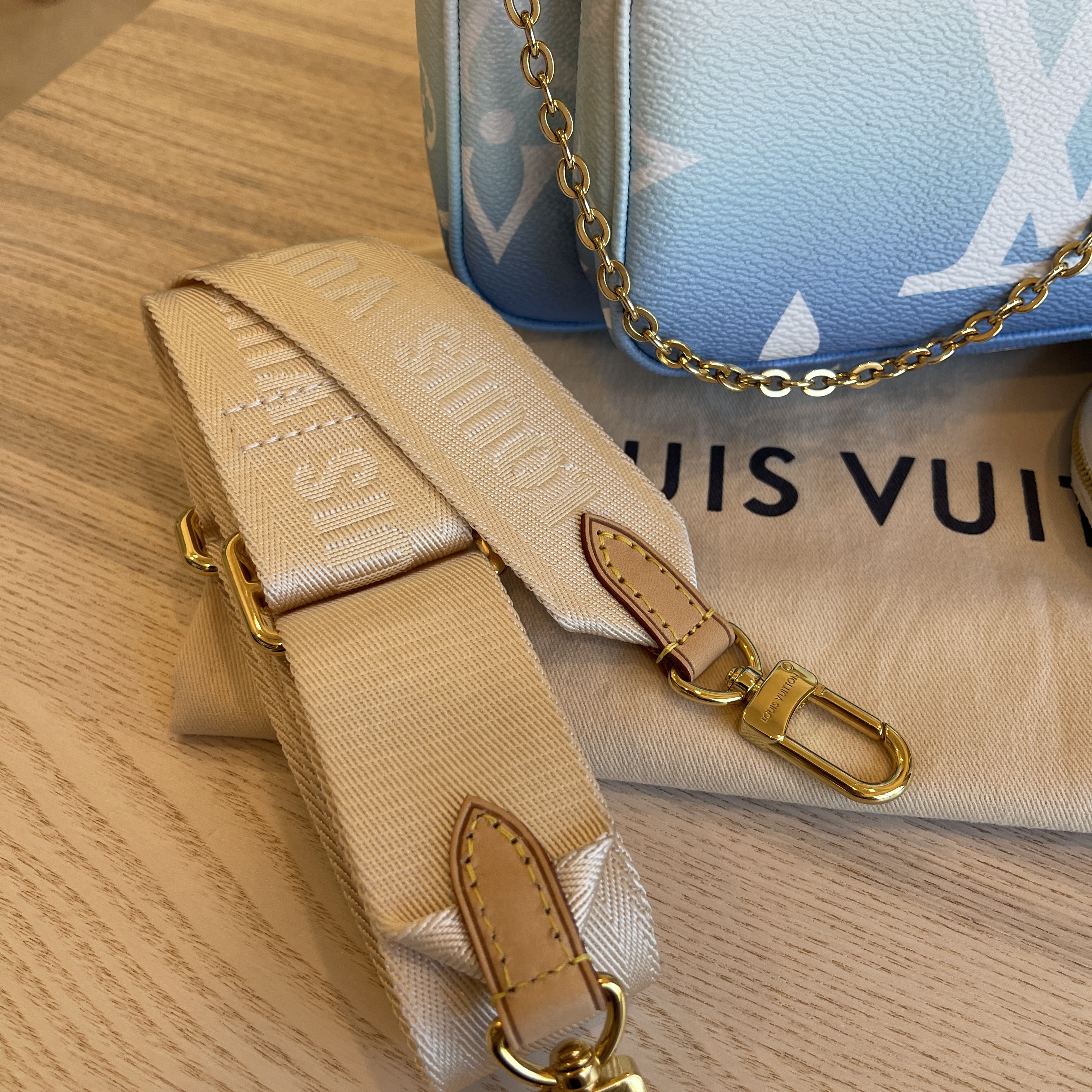 Louis Vuitton Multi Pochette Accessoires By The Pool Monogram Giant Blue  945951