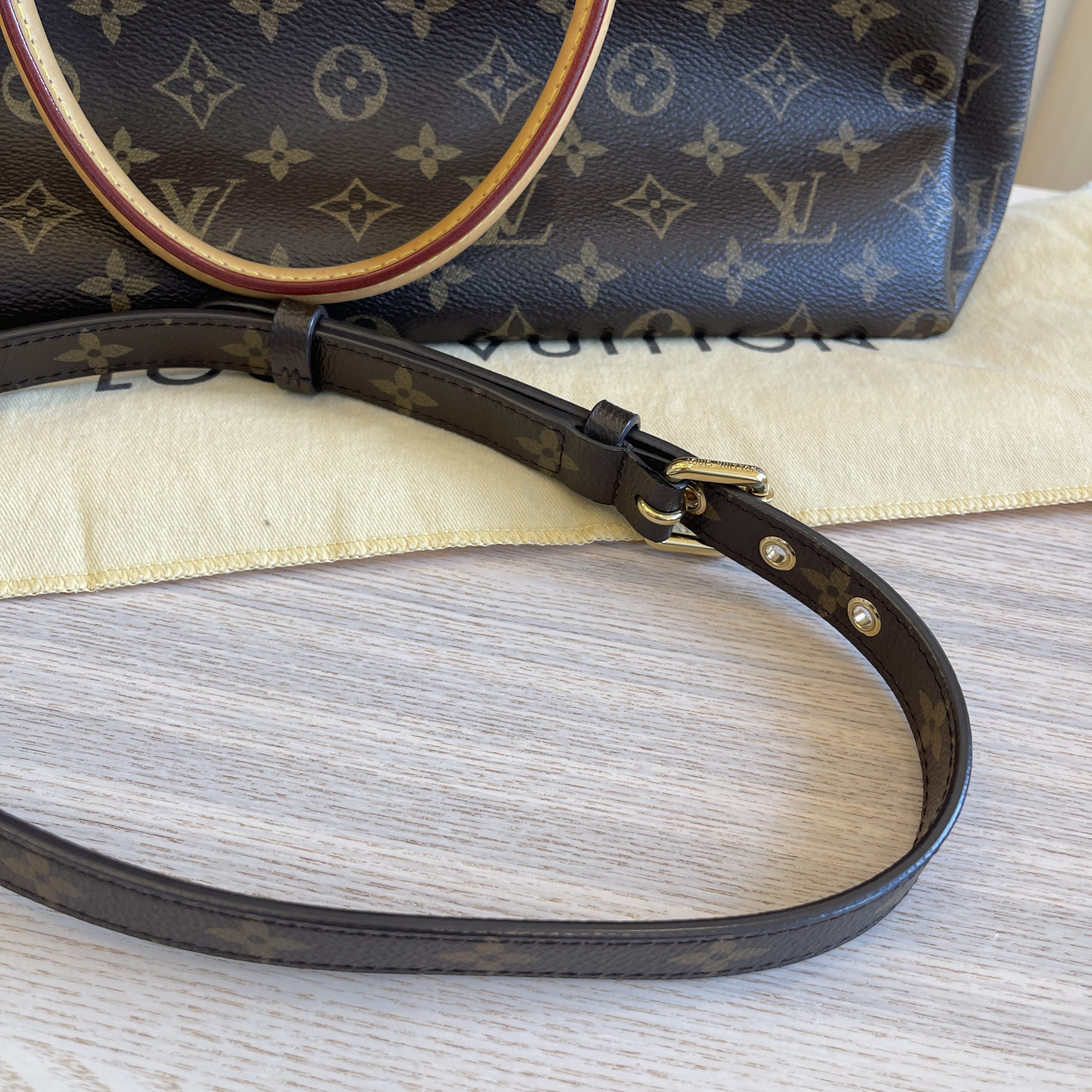 Louis Vuitton Monogram Pallas Pistache