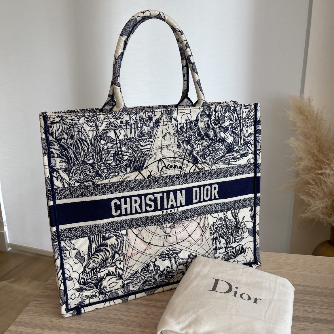 Dior book tote around the world sale