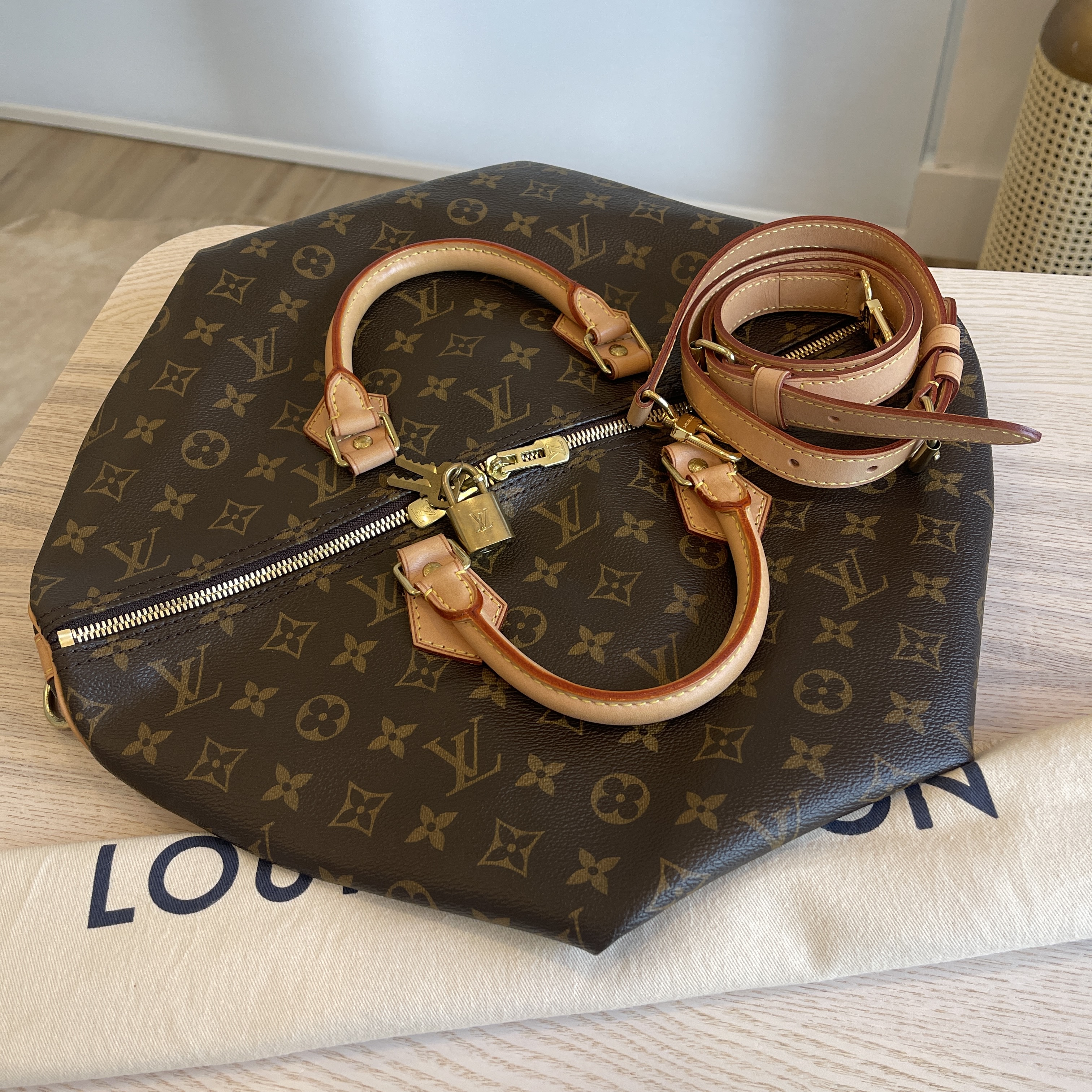 What's In My Louis Vuitton Speedy 40 Bandouliere