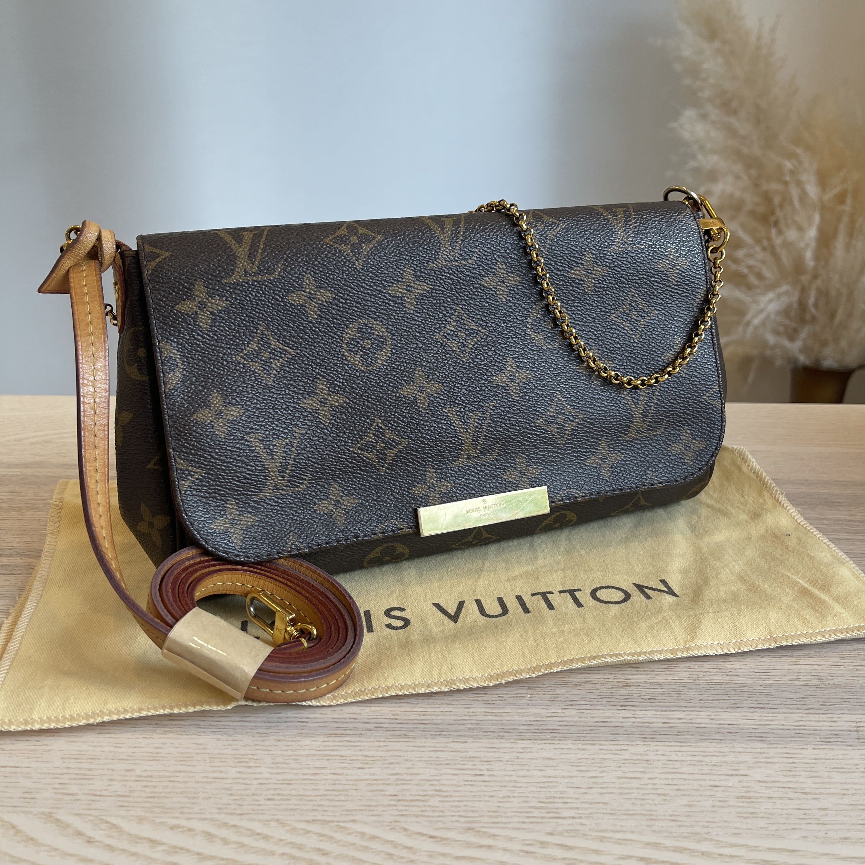 Louis Vuitton Favorite MM Monogram