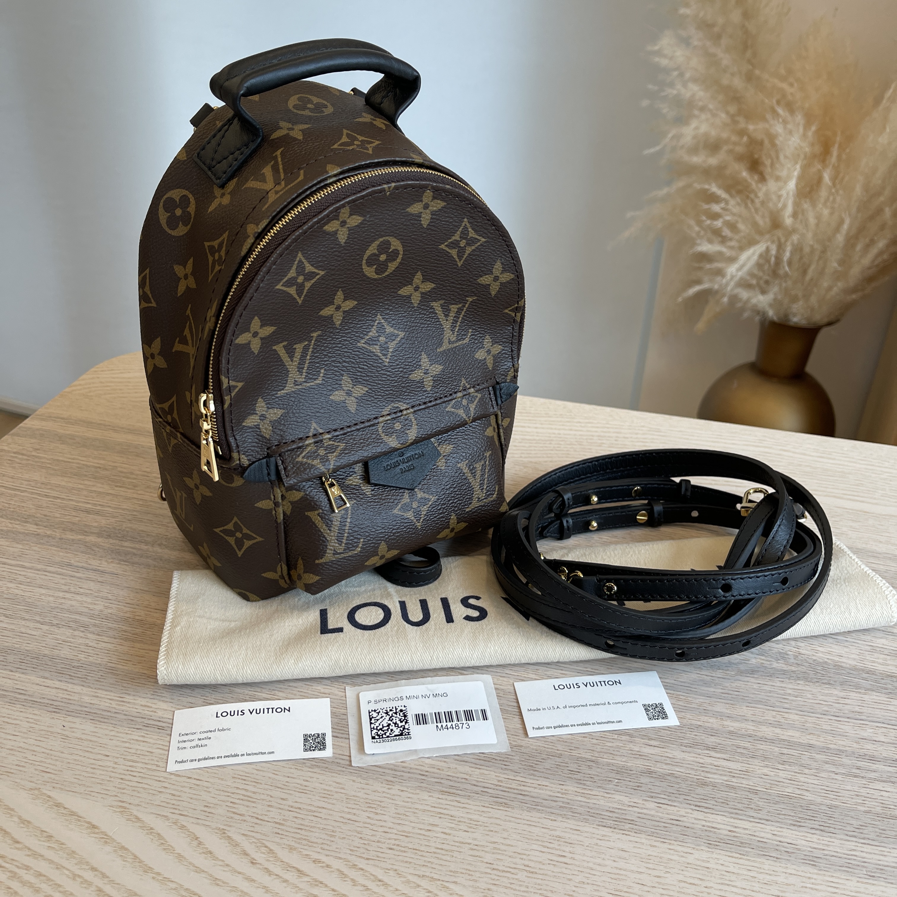 Louis Vuitton, Bags, Louis Vuitton Palm Springs Mini Backpack Authentic  M44873