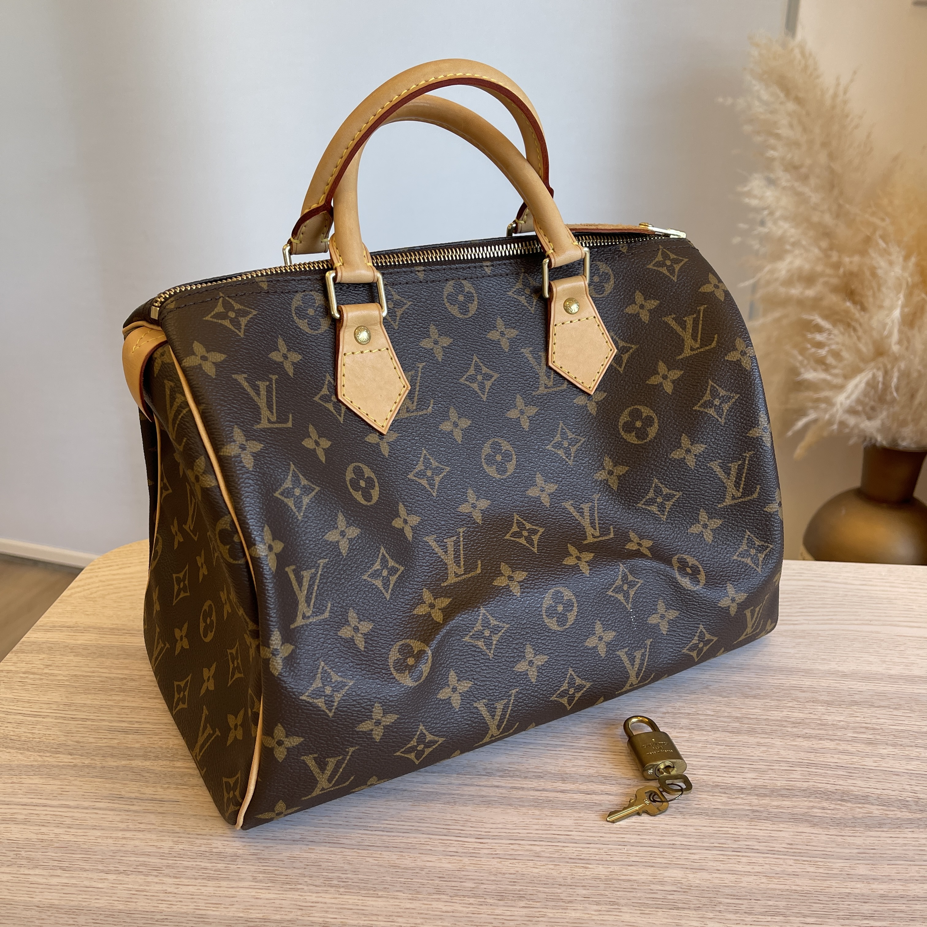 Louis Vuitton Speedy Handbag 362617
