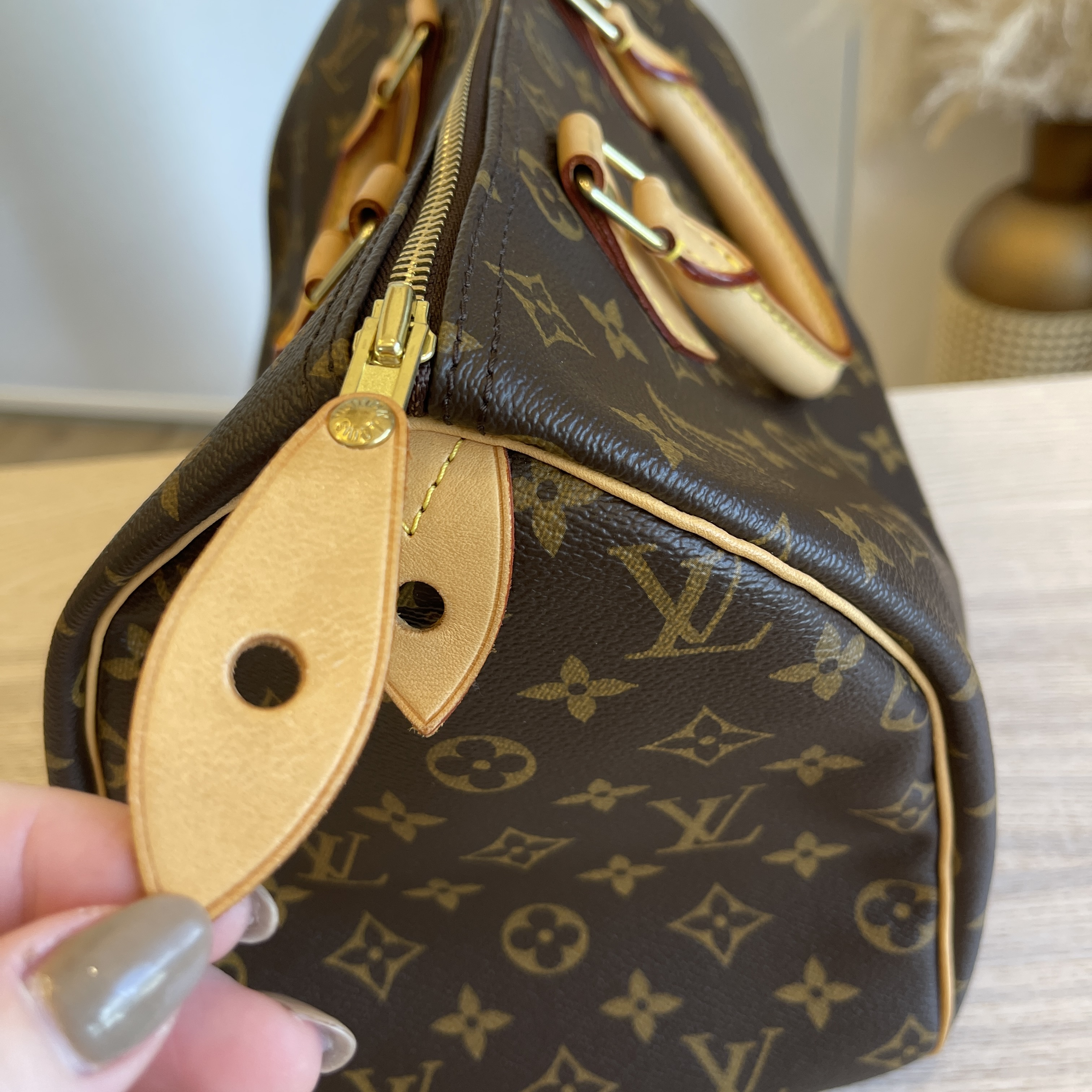 Louis Vuitton Speedy Handbag 361758
