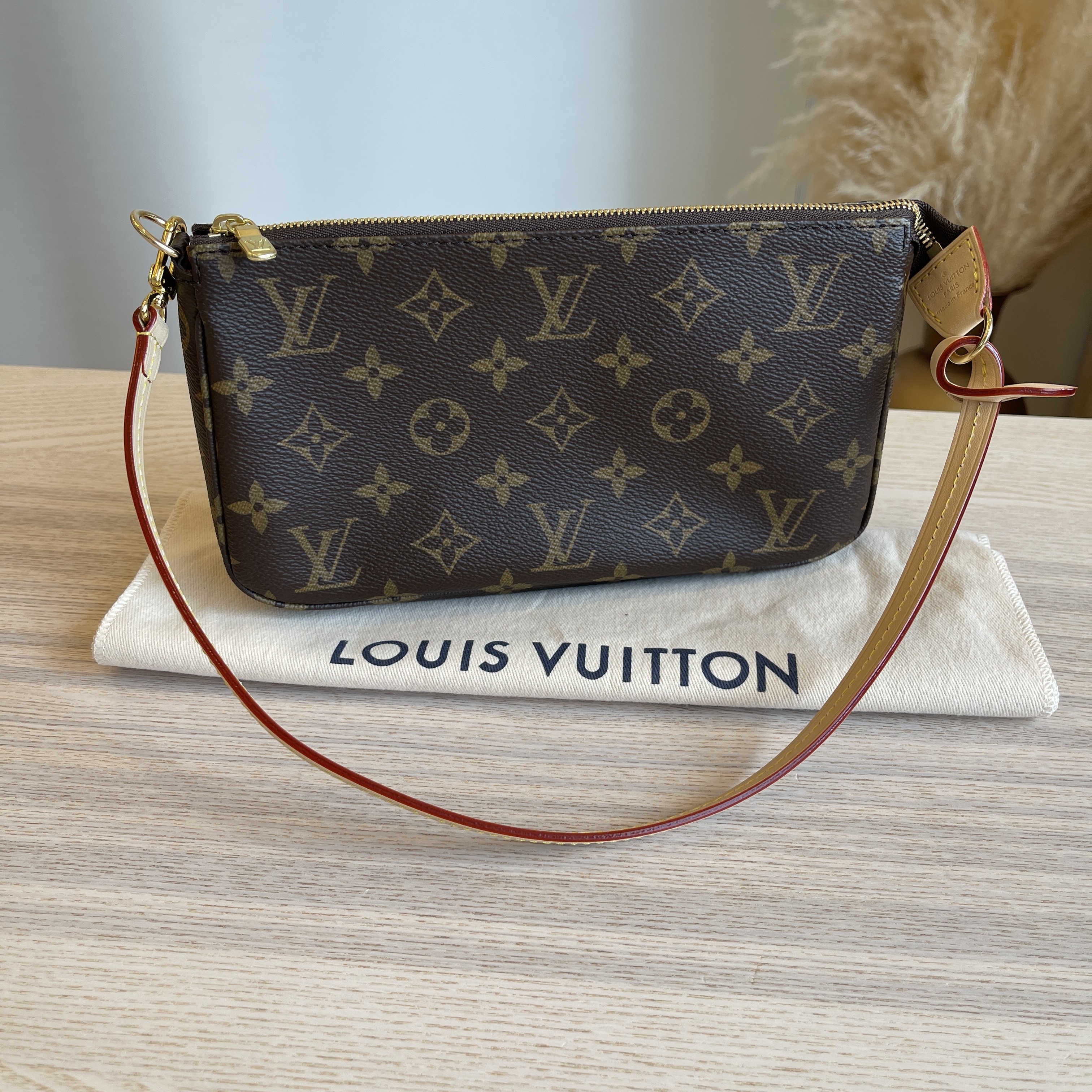 Louis Vuitton Monogram Canvas Pochette NM Bag