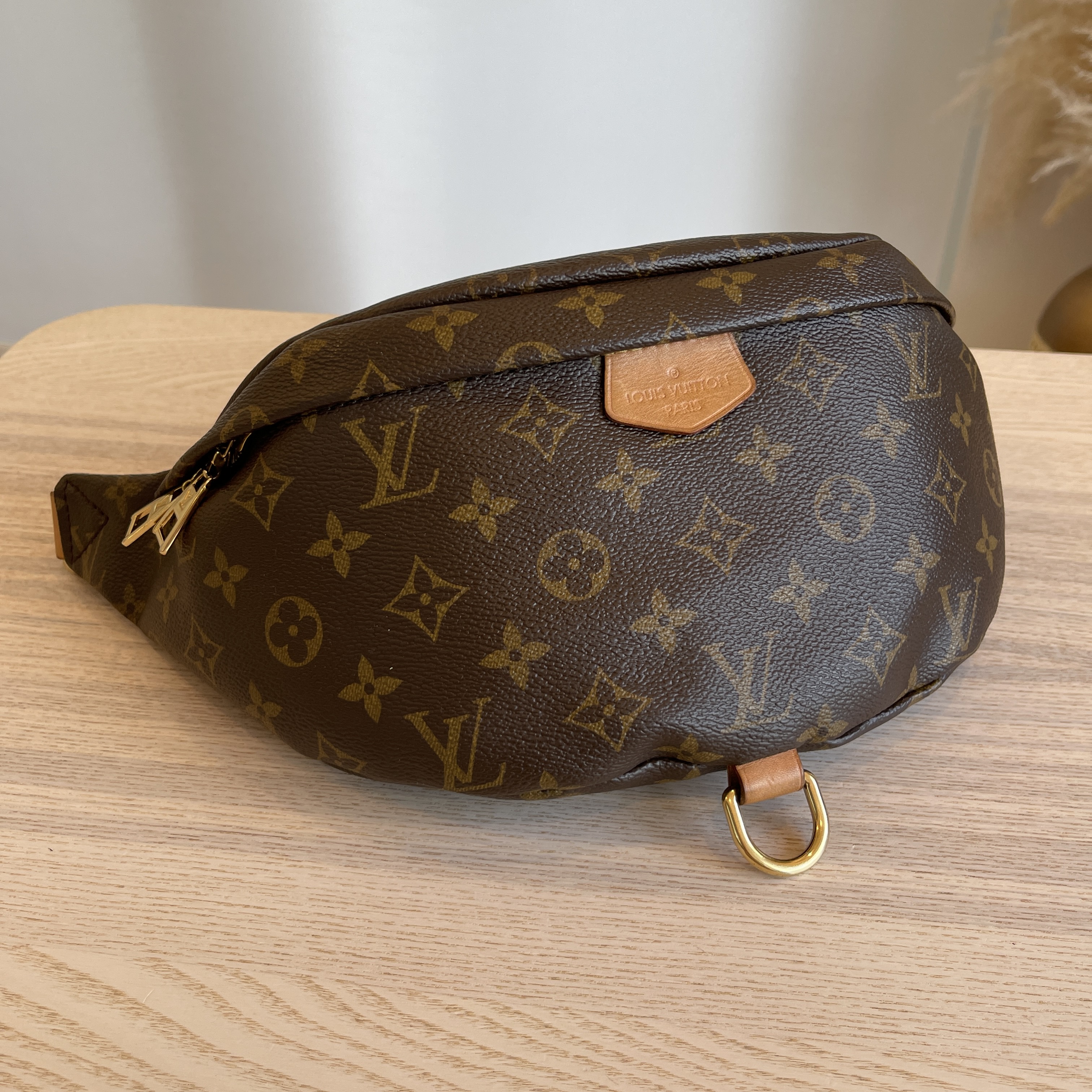 Louis Vuitton Monogram Bumbag