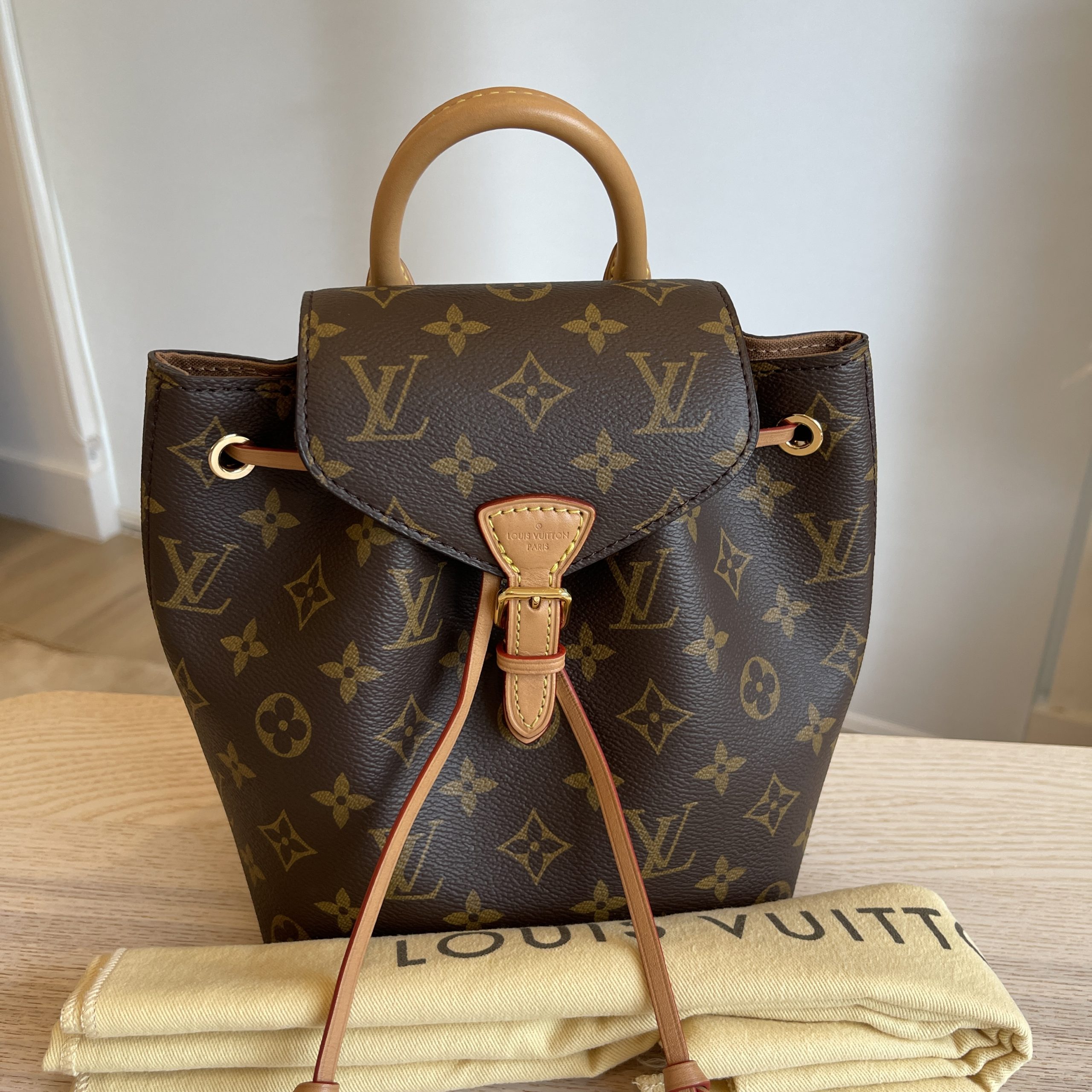 Louis Vuitton Monogram Montsouris BB Backpack