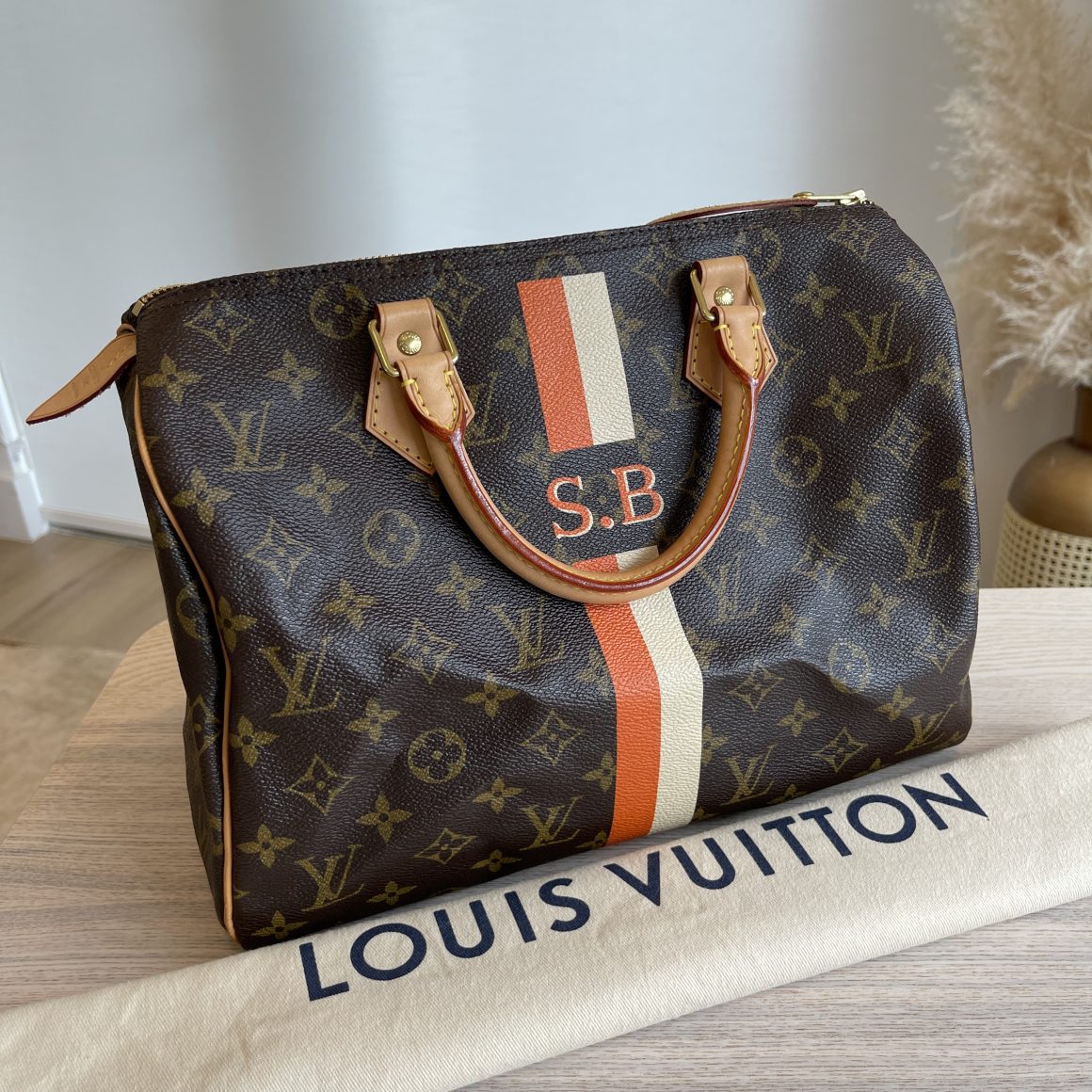 Louis Vuitton Monogram Speedy 30 Mono Monogram