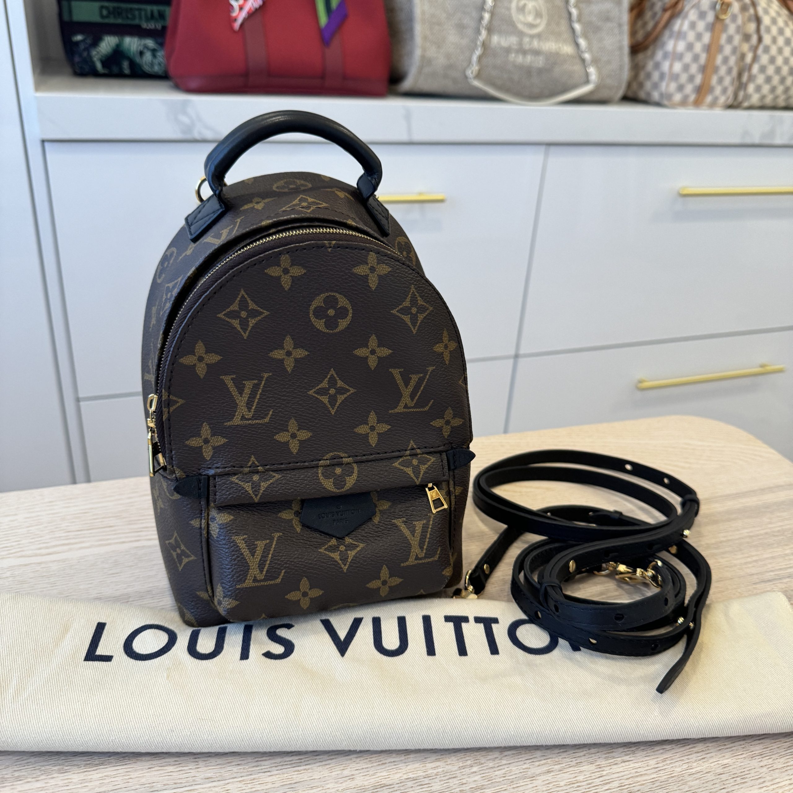 Louis Vuitton Small Dust Bag  Louis vuitton dust bag, Louis vuitton, Bags