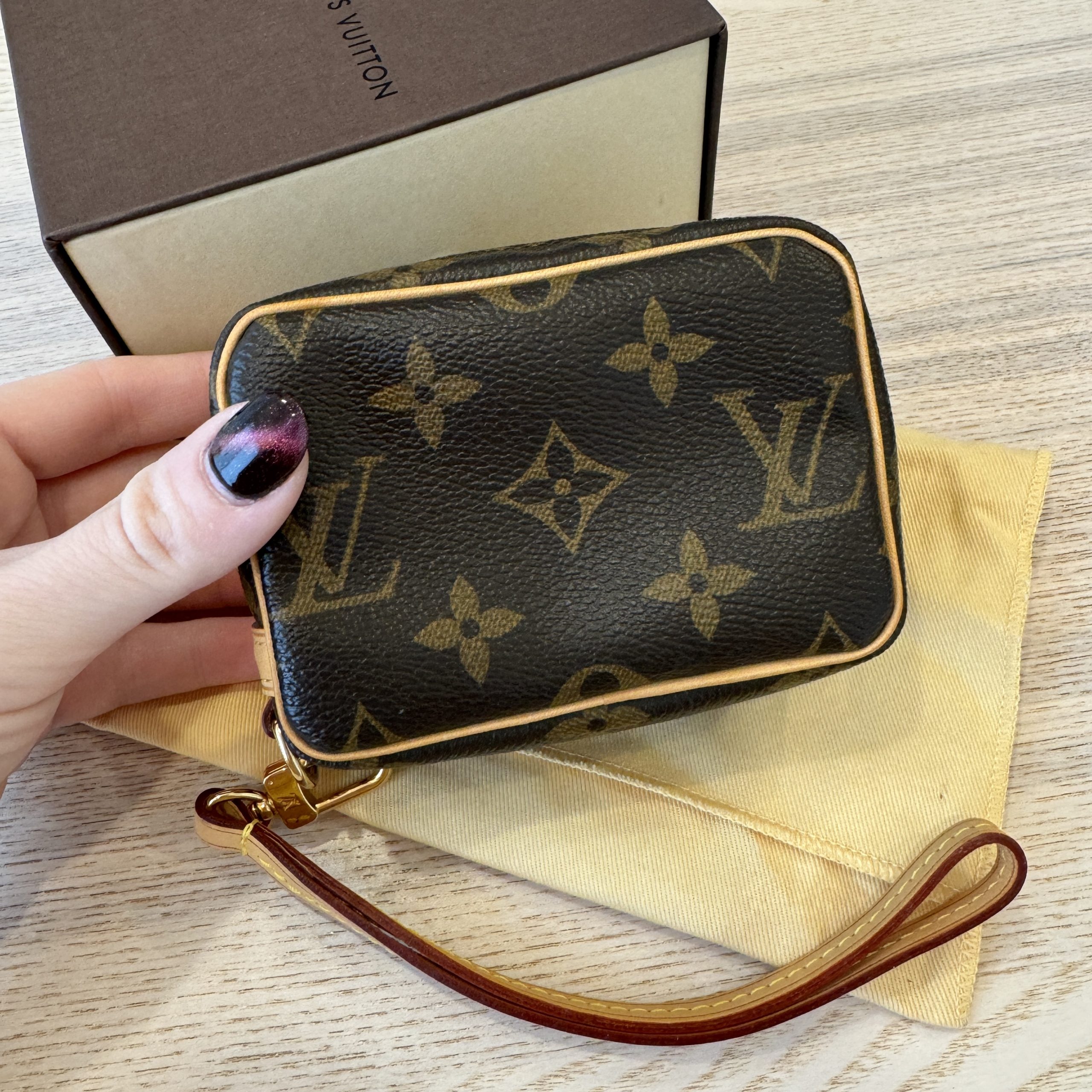 Louis vuitton wapity online pouch